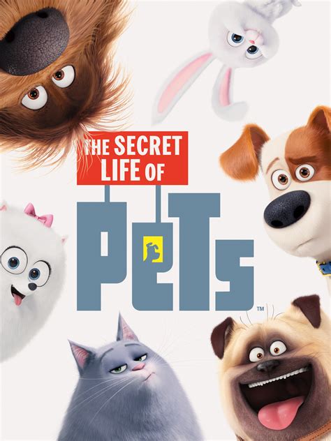 secret life of pets